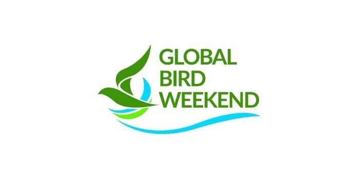 Certificates-Global-Birding-Weekend