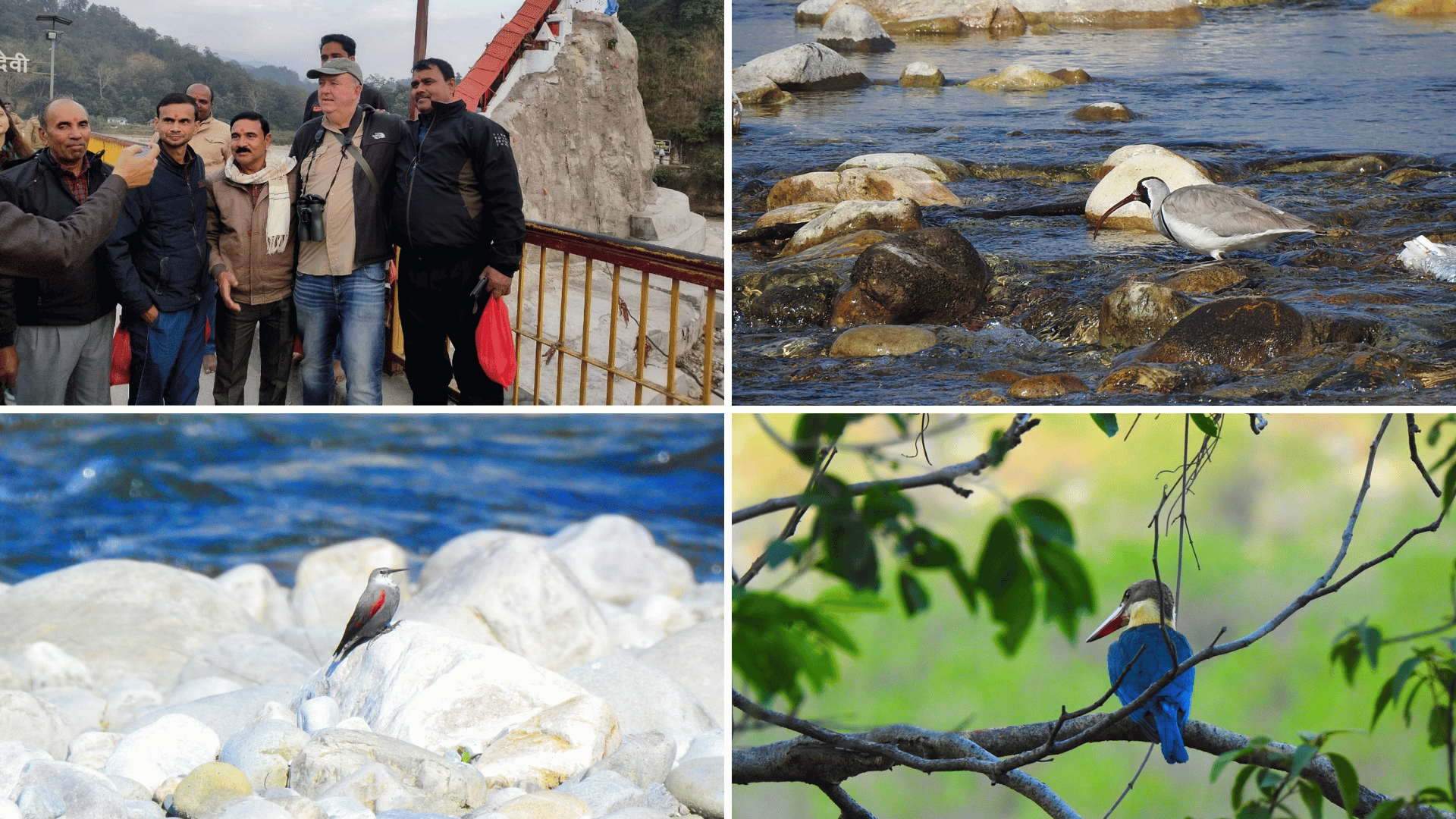 Corbett bird photography