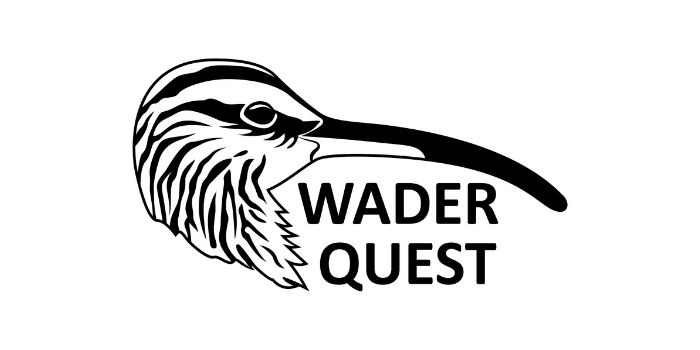 Wader_Quest