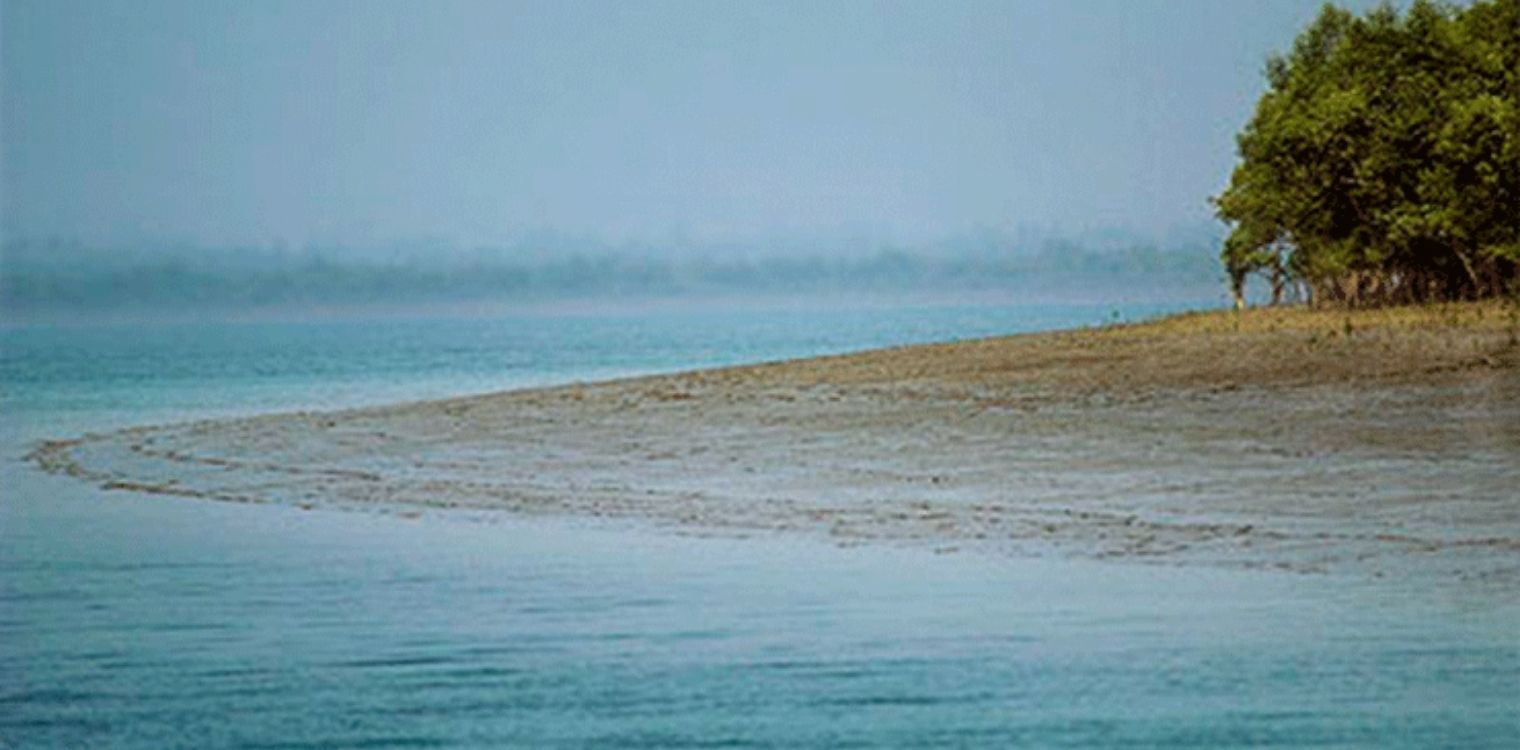 sundarbans_national_park_best_time_to_visit.