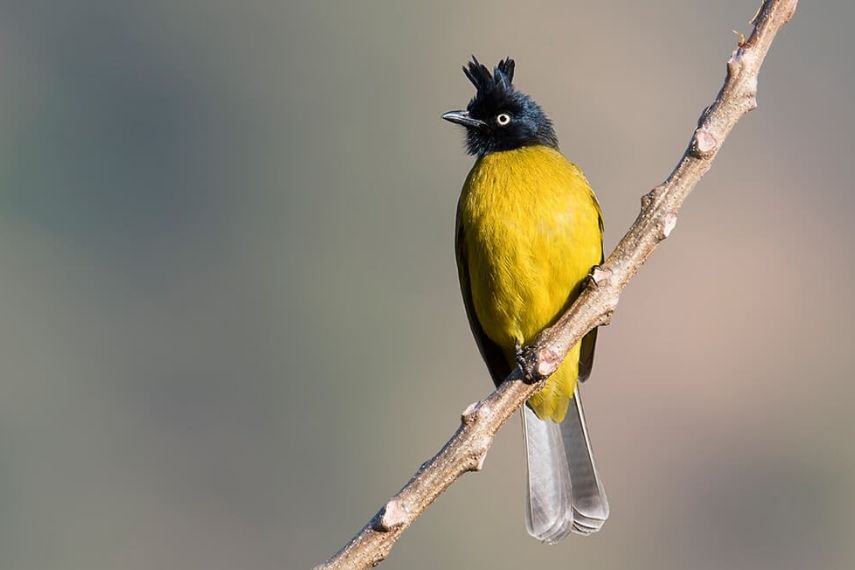 best_time_to_visit_sattal