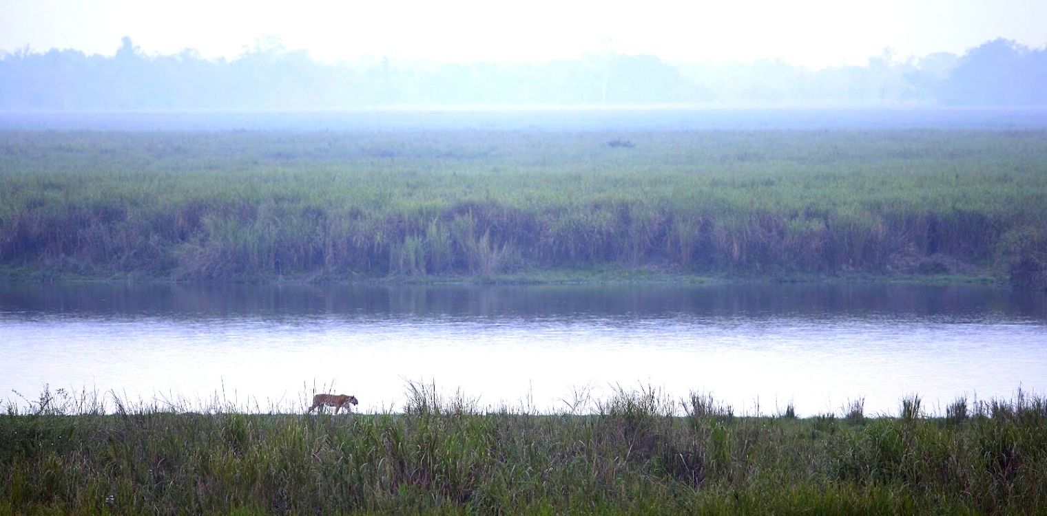 eaglenest_wildlife_sanctuary