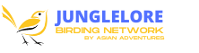 Junglelore Logo
