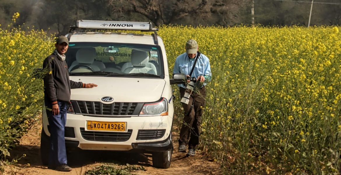 north india birding teip reports