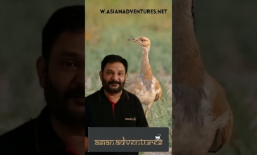 Embedded thumbnail for Little Rann of kutch Gujarat 