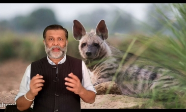 Embedded thumbnail for Bird Watching Hotspot Rajasthan And Gujarat