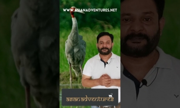 Embedded thumbnail for Do You Know India&#039;s Most Popular Birding Destination?