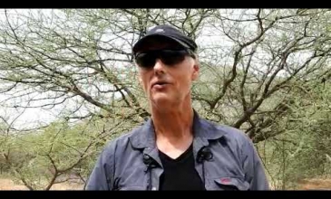 Embedded thumbnail for Bird Watching India