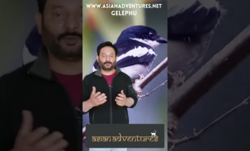 Embedded thumbnail for What Makes Gelephu Such A Great En Route Birding Stop?