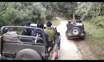 Embedded thumbnail for Gujarat Birding And Wildlife Tour