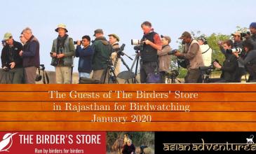 Embedded thumbnail for Bird Watching in Rajasthan