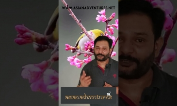 Embedded thumbnail for Birdwatching In Munsyari