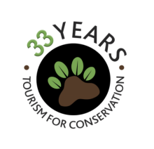 33 years logo