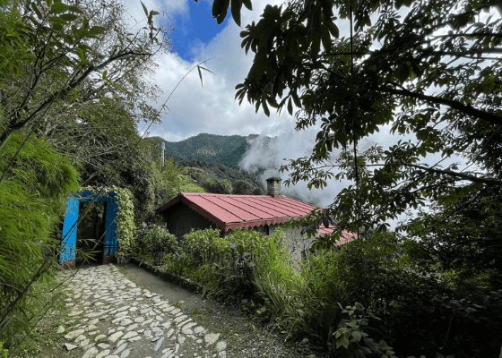 Jungle Lore Birding Lodge Pangot