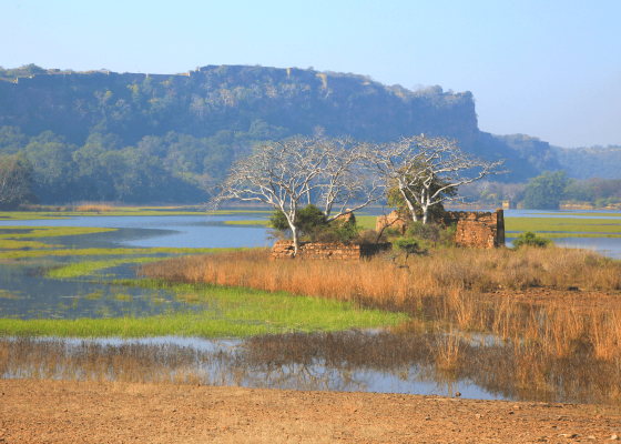 best_bird_watching_places_in_north_india