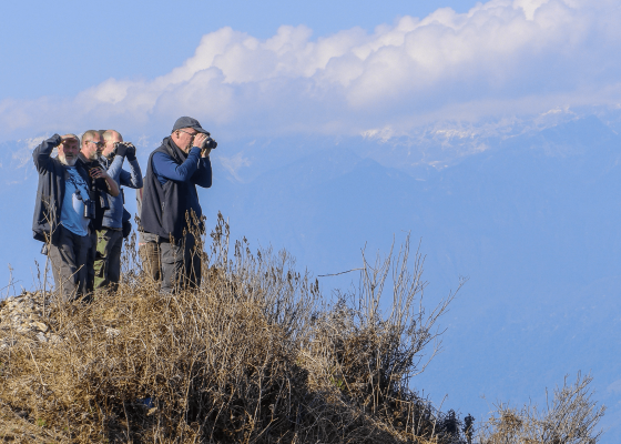birding_tours_northern_india