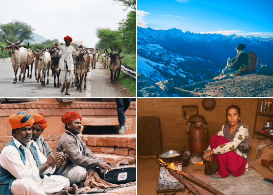 north_india_birding_tours_packages