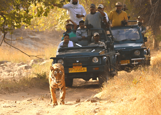 wildlife_in_north_india