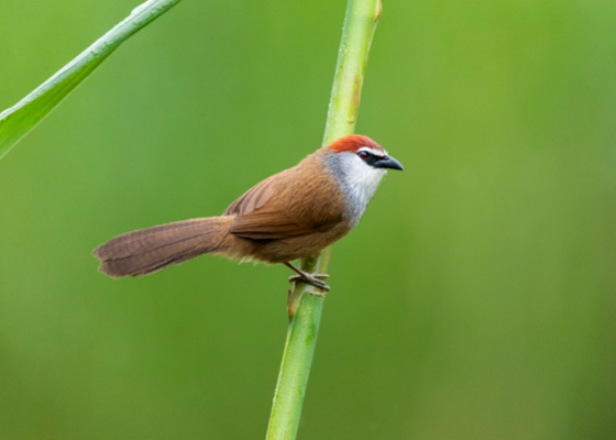 best_time_to_visit_lava