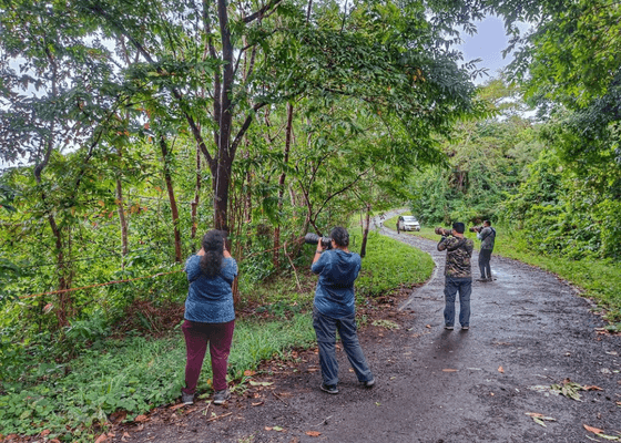 bird_watching_in_andaman