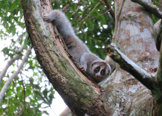 places to visit in guwahati