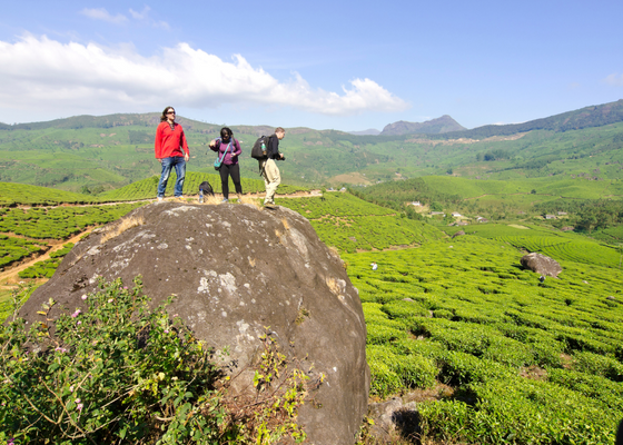 wildlife_and_culture_tours_of_munnar